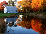 Autumn foliage in New England...
