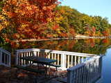 Autumn foliage in Massachusetts...