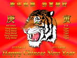 Year of the tiger...