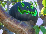 Black halloween pumpkin...
