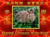 Chinese New year 2011 wallpaper...