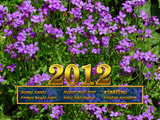 New Year 2012 flower...