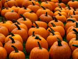 Pumpkins...